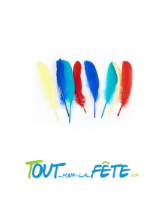 Lot de 10 grandes plumes 5 couleurs différentes 2