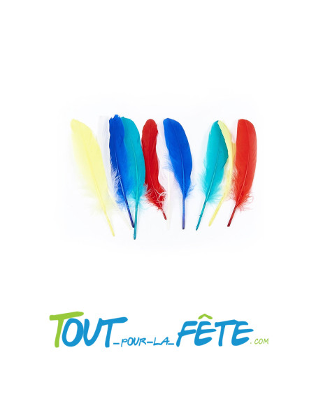 Lot de 10 grandes plumes 5 couleurs différentes