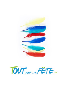 Lot de 10 grandes plumes 5 couleurs différentes