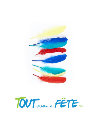 Lot de 10 grandes plumes 5 couleurs différentes