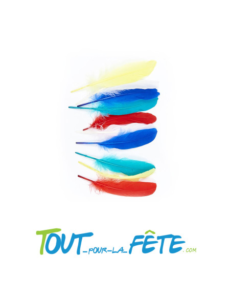 Lot de 10 grandes plumes 5 couleurs différentes