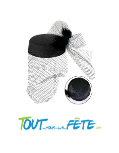 Chapeau tina avec filet et plume noir
