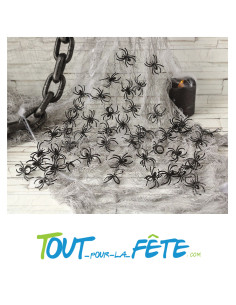 50 araignées noir 4x2 cm