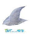 Chapeau magicien / sorcier gris ( Gandalf )