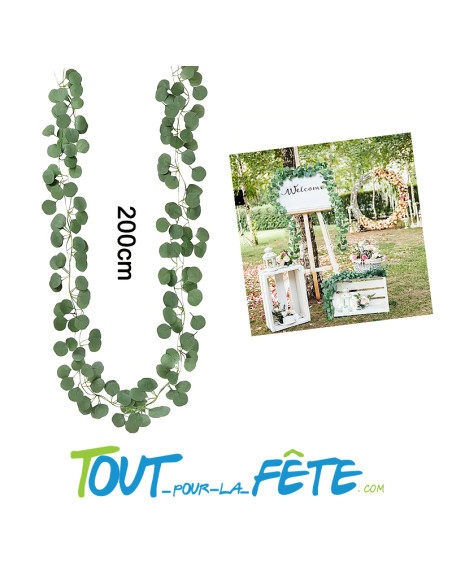 Guirlande feuille d'eucalyptus 200 cm