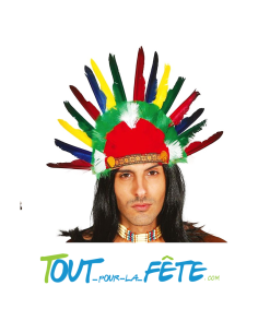 Coiffe d'indien chef de tribu avec 15 plumes couleurs...