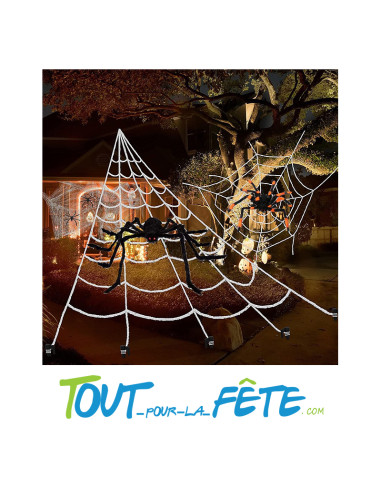 Kit 2 araignées géantes, 20 petite araignées, et toiles d'araignée