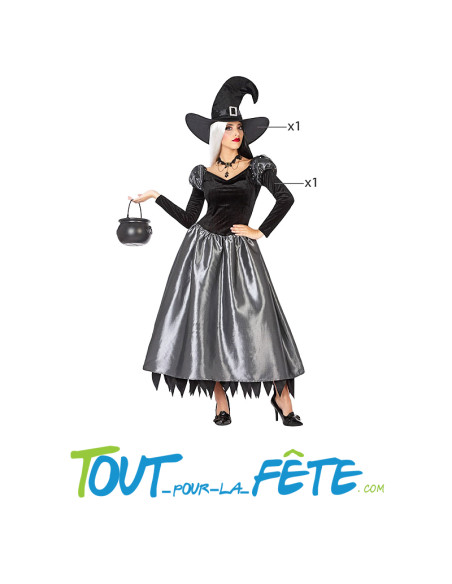 Déguisement de sorcière gris femme adulte