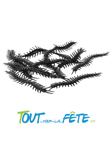12 mille-pattes noir 3x13 cm