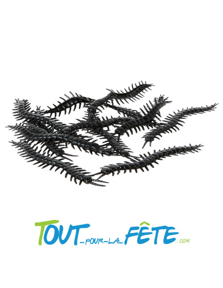 12 mille-pattes noir 3x13 cm