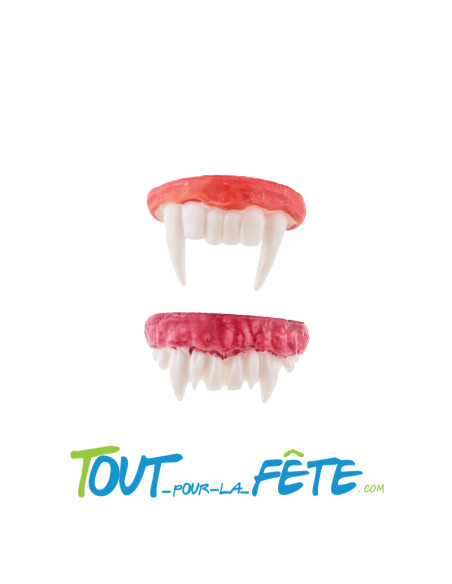 Dentier de vampire ( modèle aléatoire ) disponible en 2 modèles