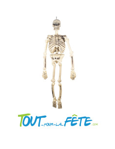 Squelette à Suspendre 160 cm 2