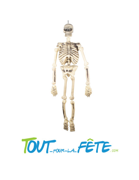Squelette à Suspendre 160 cm