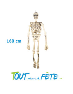 Squelette à Suspendre 160 cm
