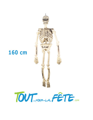 Squelette à Suspendre 160 cm