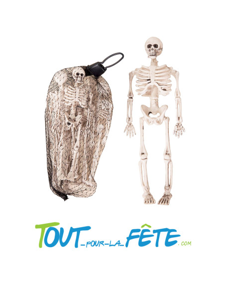 Lot de 6 mini squelettes 24 cm complétez votre décoration Halloween