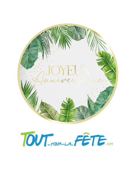 Lot de 6 assiettes joyeux anniversaire tropical 23 cm