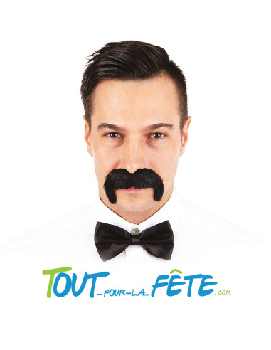 Moustache 1900 noire auto adhésive taille unique ( accessoire de déguisement )