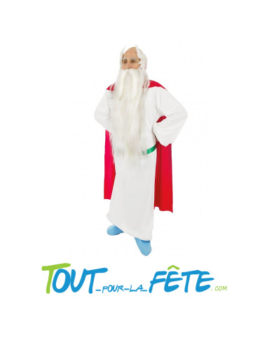 Déguisement de Panoramix Astérix homme taille adulte licence officielle