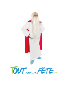 Déguisement de Panoramix Astérix homme taille adulte licence officielle 2