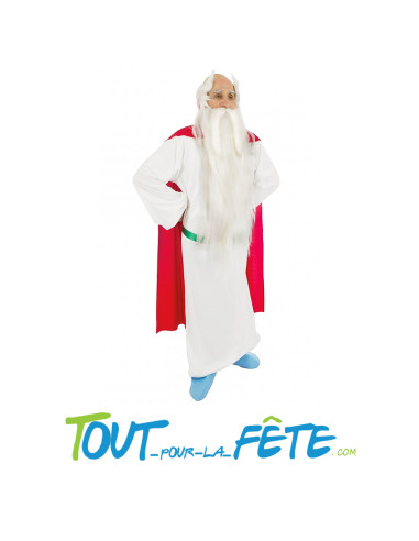 Déguisement de Panoramix Astérix homme taille adulte licence officielle