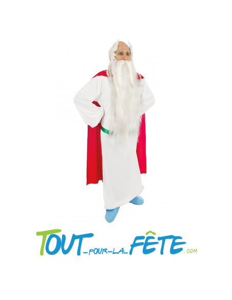 Déguisement de Panoramix Astérix homme taille adulte licence officielle
