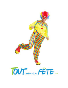 Déguisement de clown multicolore pour adulte ( combinaison rayé avec collerette assortie )