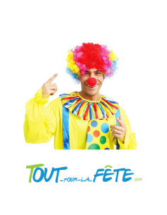 Nez de clown rouge en mousse rouge taille unique ( pour enfant et adulte )