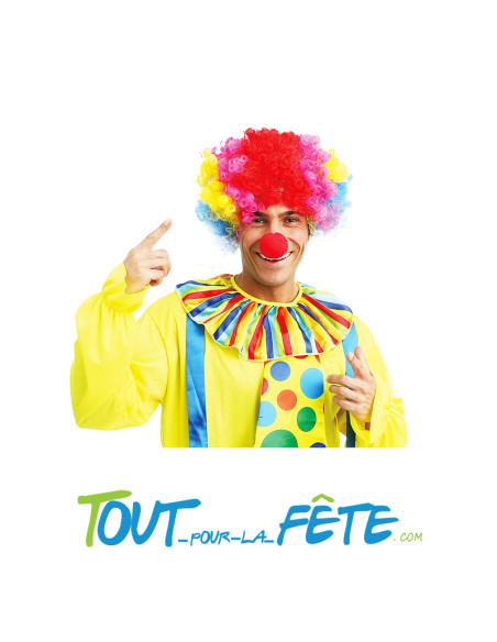 Nez de clown rouge en mousse rouge taille unique ( pour enfant et adulte )