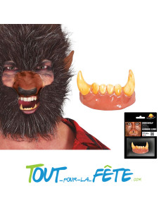 Dentier de loup-garou sanglante réutilisables pour mâchoires inférieur 2