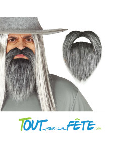 Barbe et moustache grises sorcier, mage, Gandalf