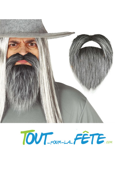 Barbe et moustache grises sorcier, mage, Gandalf