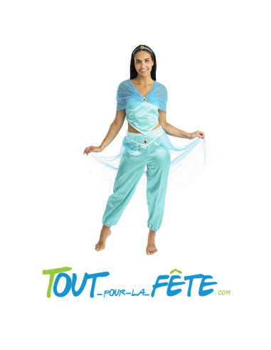 Déguisement princesse arabe / Jasmine taille adulte pour femme ( Aladdin )