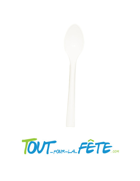 Lot de 10 petites cuillères blanches incassables en polypro ultra résistantes