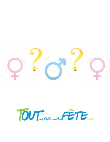 Guirlande banderole Boy or Girl bleu, rose et or 12 fanions 500 cm