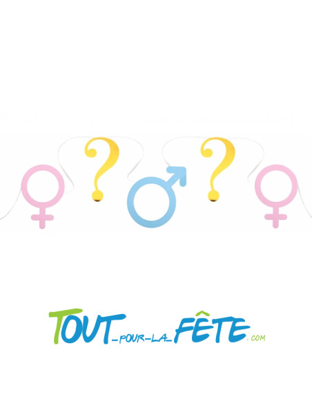 Guirlande banderole Boy or Girl bleu, rose et or 12 fanions 500 cm