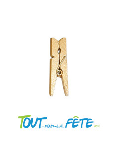 Lot de 24 mini pinces 2,5cm en bois métallisées couleur or