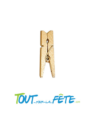 Lot de 24 mini pinces 2,5cm en bois métallisées couleur or