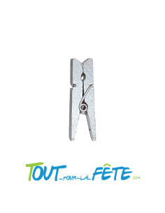Lot de 24 mini pinces 2,5cm en bois métallisées couleur argent