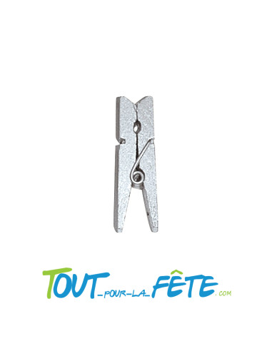 Lot de 24 mini pinces 2,5cm en bois métallisées couleur argent