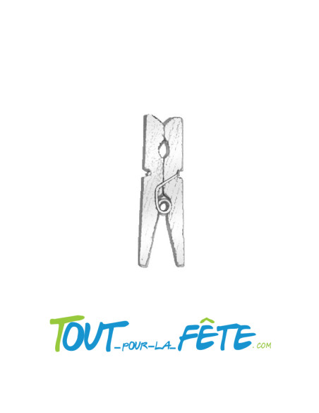 Lot de 12 pinces 3.5cm en bois métallisées couleur argent