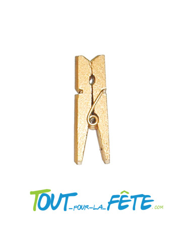 Lot de 12 pinces 3.5cm en bois métallisées couleur or