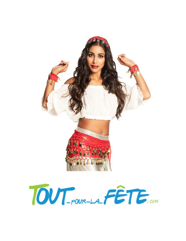 Set danseuse orientale  1 bandeau, 2 bracelet, 1 ceinture rouge et or