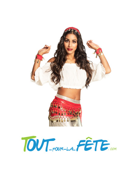 Set danseuse orientale  1 bandeau, 2 bracelet, 1 ceinture rouge et or
