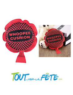 Coussin Péteur Farce et Attrape 12cm – Blague Garantie 2