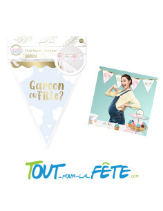 Guirlande de fanions en carton gender reveal / baby shower "fille ou garcon" bleu - rose - doré 3m 2