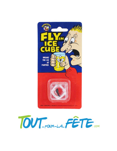 Fausse mouche dans un faux glaçon farce et attrape