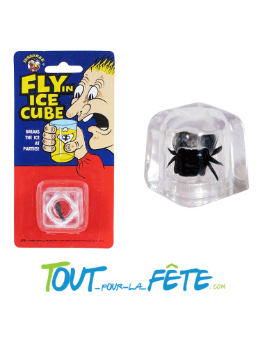 Fausse mouche dans un faux glaçon farce et attrape