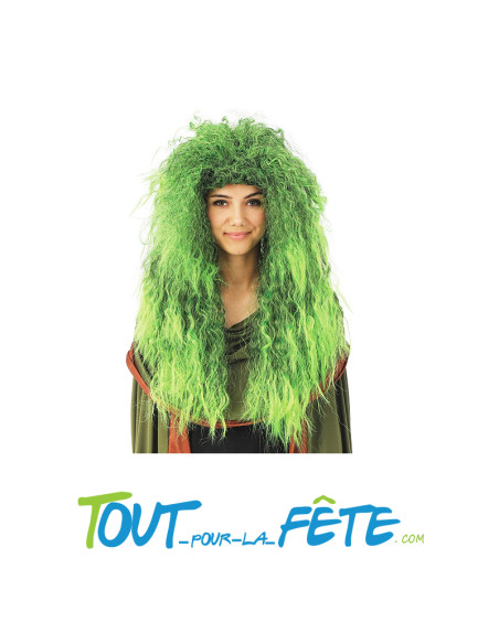 Perruque sorcière verte pour adulte taille unique cheveux longs et crépus