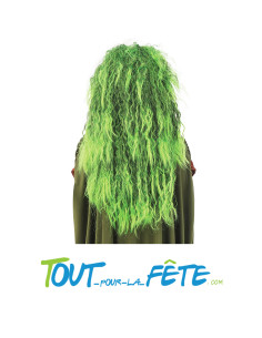 Perruque sorcière verte pour adulte taille unique cheveux longs et crépus 2